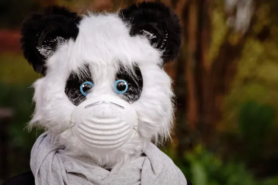 Pronto Casino Suporte